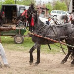 pictures-from-a-romanian-horse-market-876-433-1431530363-size_1000