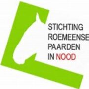 (c) Roemeensepaardeninnood.nl